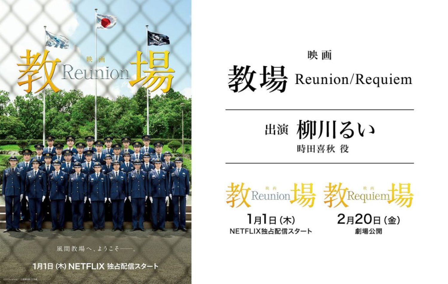 flat_pc_hedder_nonno 2