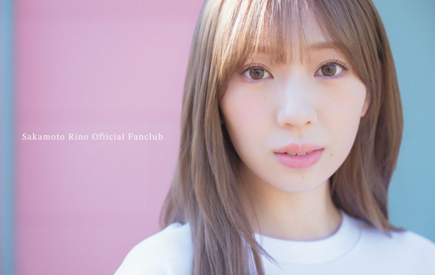 坂本りのFC